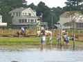 Chincoteague Pony Swim July 2007 026